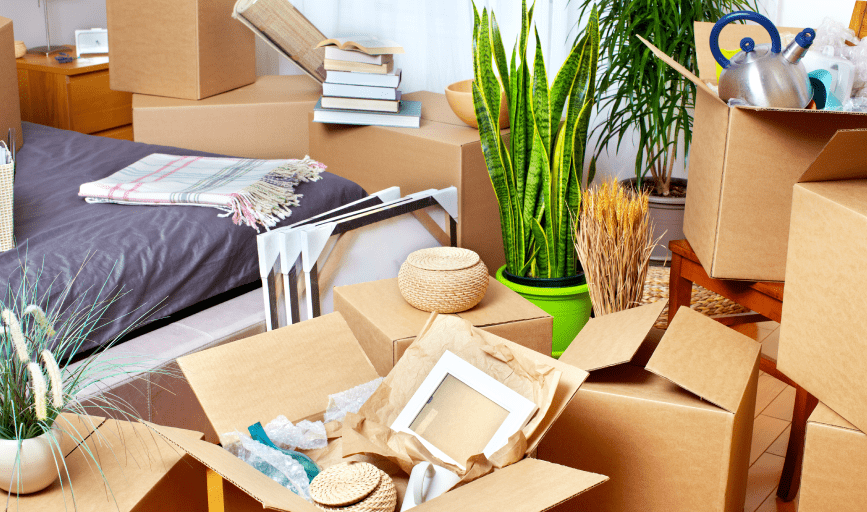 MOVE OUT CLEANING